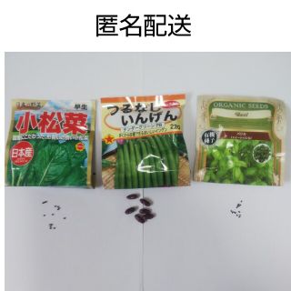 野菜の種 3種類 各10粒(その他)