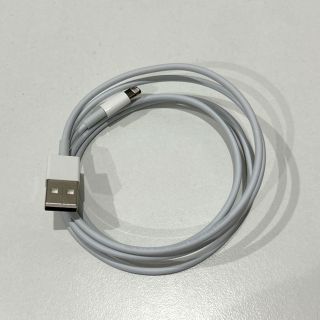 アイフォーン(iPhone)のApple 純正　ケーブル(その他)