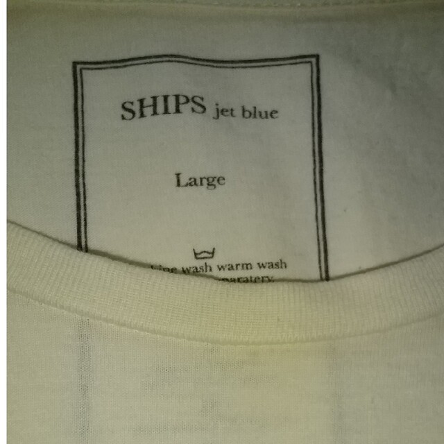 SHIPSメンズTシャツ メンズのトップス(シャツ)の商品写真