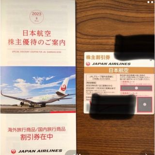 ジャル(ニホンコウクウ)(JAL(日本航空))のJAL 日本航空　株主優待　1枚　2024年11月30日 まで(航空券)