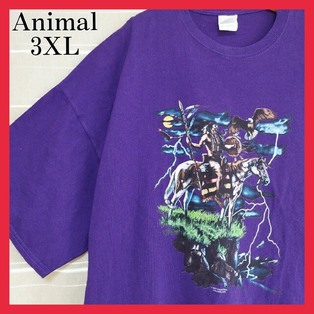 アカウントの商品についてアニマル柄 インディアン 鷹 馬 動物 プリントTシャツ tシャツ 3XL