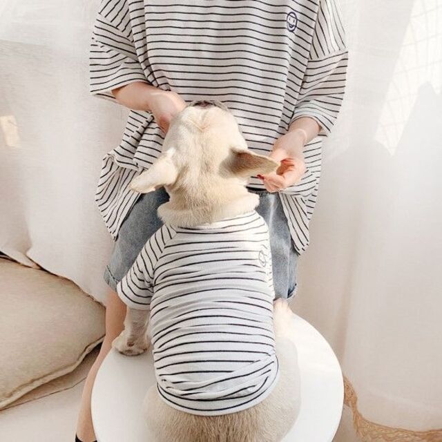 親子服　飼い主　犬　ペア　ボーダーTシャツセット