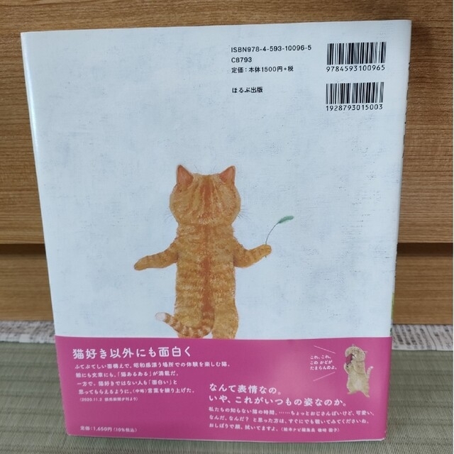 ねこはるすばん エンタメ/ホビーの本(絵本/児童書)の商品写真