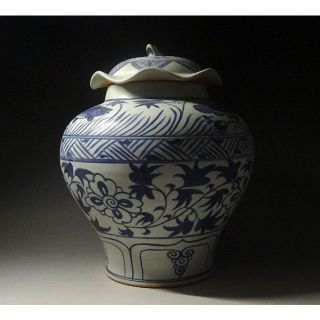 中国古玩 元染 魚藻文 蓋付壷 高約34cm 唐物 時代物 c11370の通販 by