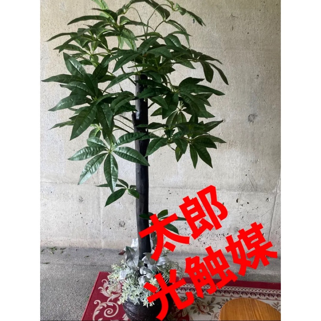 光触媒　人工観葉植物　ウォールグリーン　フェイクグリーン　パキラ13570