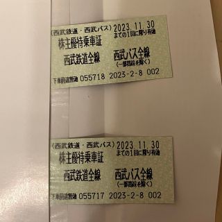 【専用】ホールディングス株主優待乗車券 2枚2023(その他)