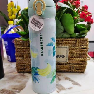売れ筋がひ新作! Starbucks サボテン フラワー ボタニカル ステンレス