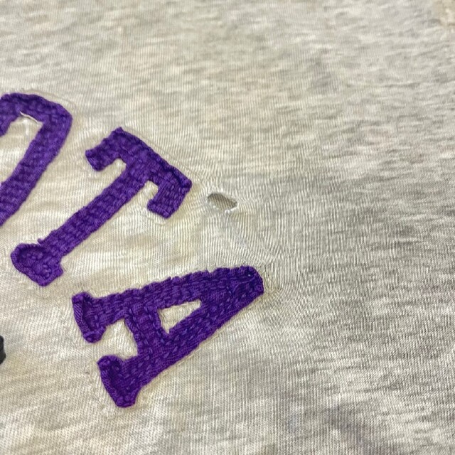 MINNESOTAVIKINGS 　ビッグサイズ　半袖Ｔシャツ　紫ロゴ メンズのトップス(Tシャツ/カットソー(半袖/袖なし))の商品写真