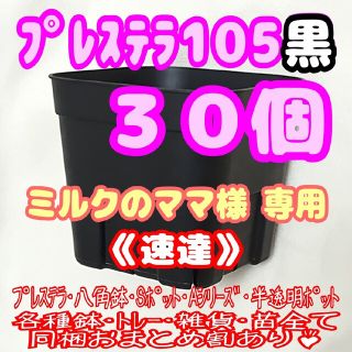 《速達》【スリット鉢】プレステラ105黒30個 多肉植物 プラ鉢(プランター)