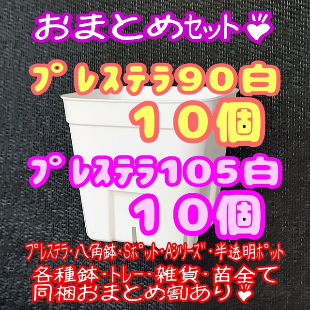 【スリット鉢】プレステラ90＆105 白 各10個 多肉植物 プラ鉢 ハンドメイドのフラワー/ガーデン(プランター)の商品写真