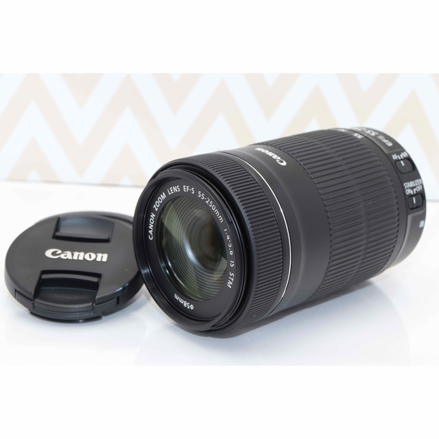 ⭐️静音望遠レンズ⭐️EF-S 55-250mm IS STM⭐️ 限定販売の価格