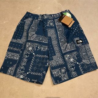THE NORTH FACE - 【海外限定】ノースフェイス ノベルティ カーゴ