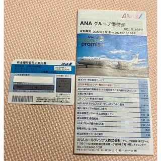 エーエヌエー(ゼンニッポンクウユ)(ANA(全日本空輸))のANA 株主優待券 (2023年上期分)(その他)