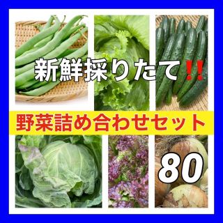 採れたて新鮮‼️野菜詰め合わせセット‼️80サイズ箱いっぱいに詰めてお届け‼️(野菜)