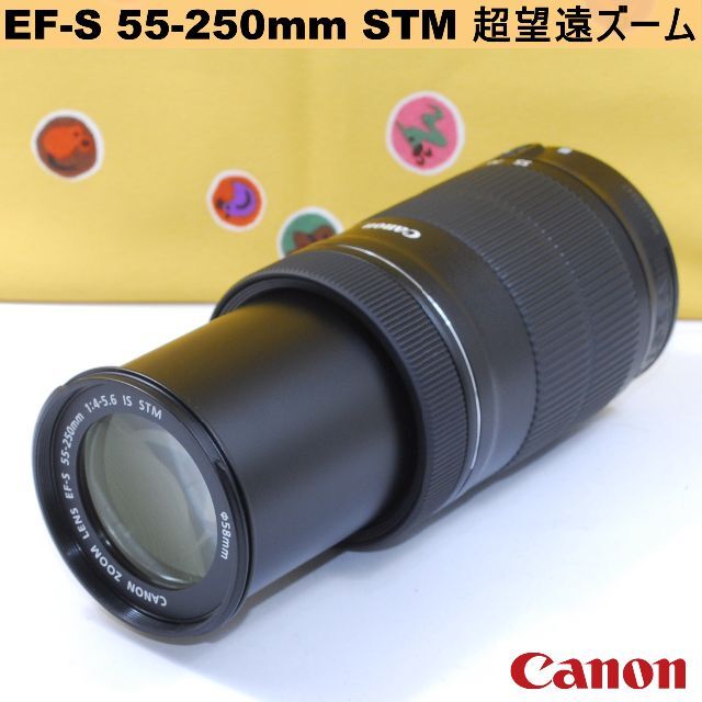 極美品❤️Canon❤️ズーム EF M 55 200mm プロテクタ付