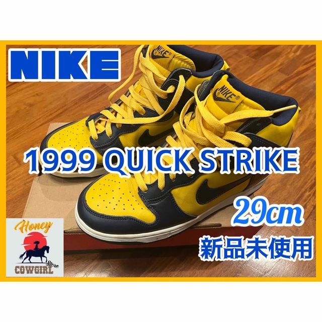 １９９９年製【未使用】都市限定 DUNK HIGH QUICK STRIKE