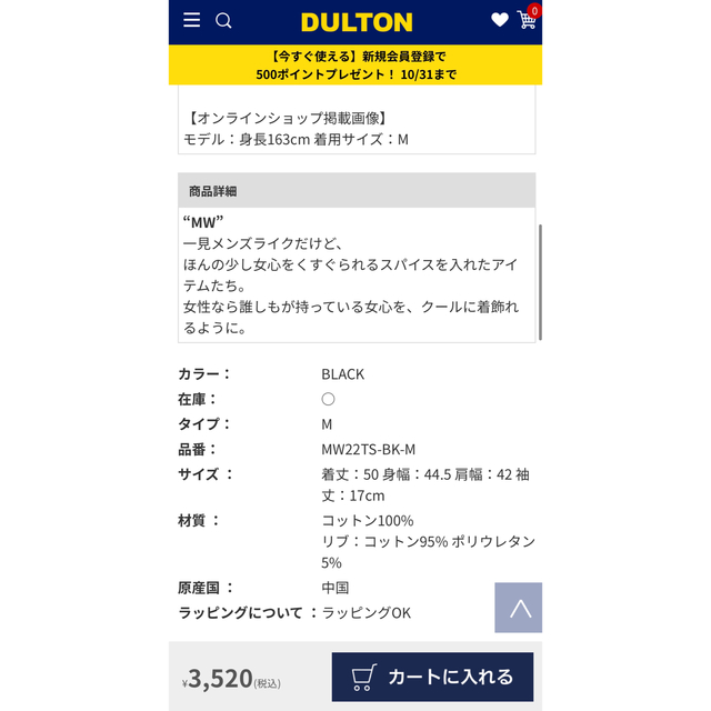 [DULTON] ダルトン　ヘビーオンスTシャツ(M) メンズのトップス(Tシャツ/カットソー(半袖/袖なし))の商品写真