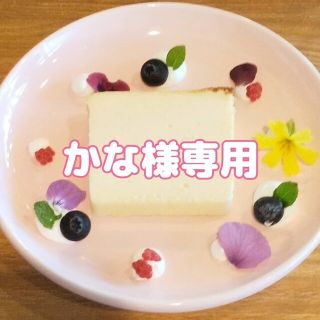 かな様専用(外出用品)