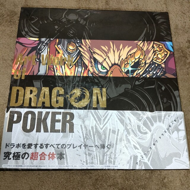 ドラゴンポーカー art work 画集 エンタメ/ホビーの漫画(イラスト集/原画集)の商品写真