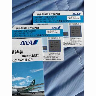 エーエヌエー(ゼンニッポンクウユ)(ANA(全日本空輸))のANA 全日空　株主優待2枚　2024年5月31日(その他)