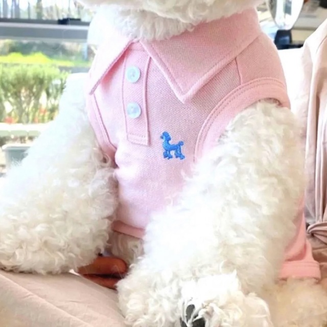 犬服犬の服ペット猫服　ピンクS ポロシャツ