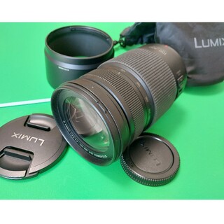 パナソニック(Panasonic)のLUMIX G VARIO 100-300mm 4.0-5.6(レンズ(ズーム))