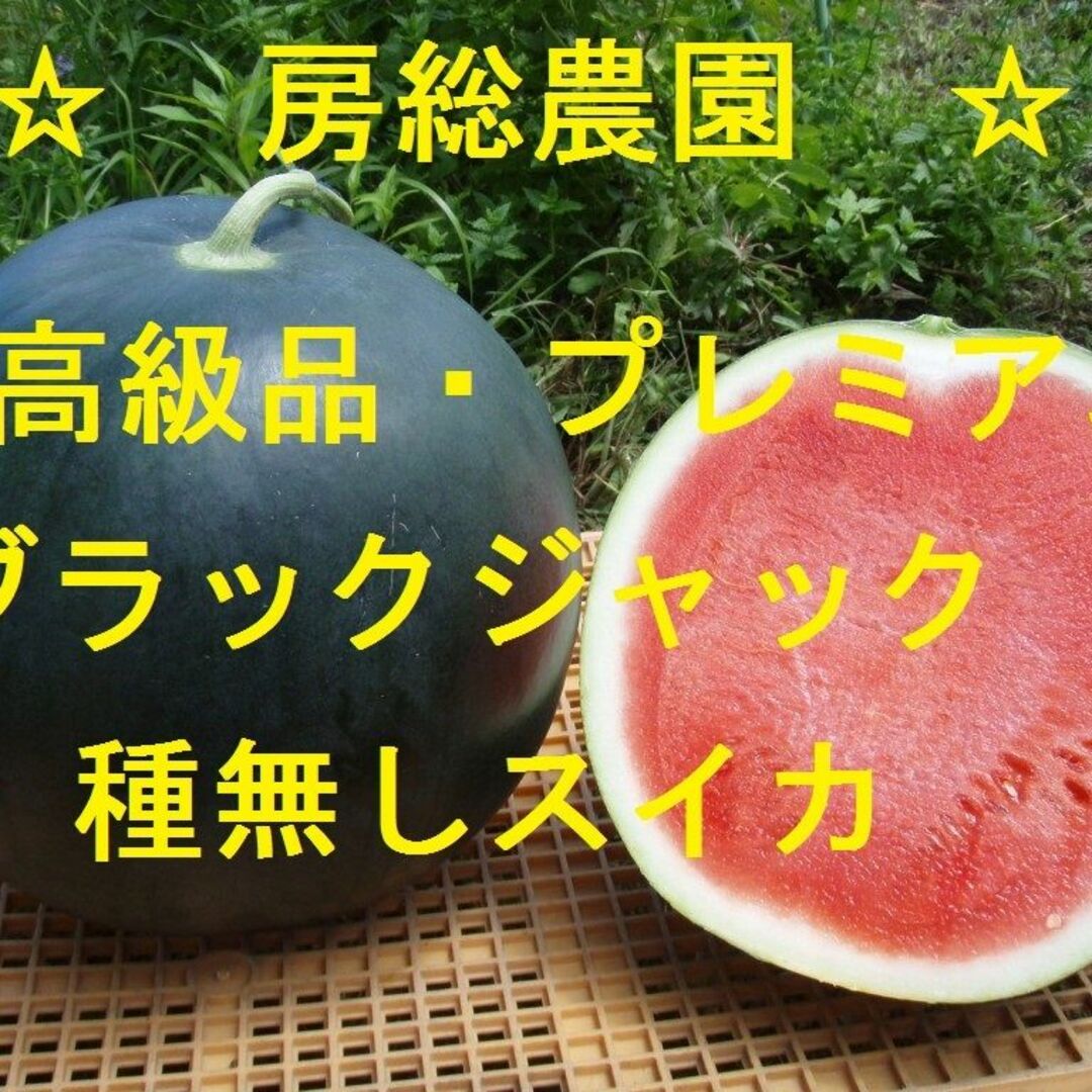 8キロ～めっきぃ様専用・ブラックジャック 食品/飲料/酒の食品(フルーツ)の商品写真