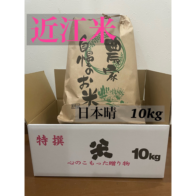 令和4年　近江米　1等米　日本晴　10kg　米/穀物