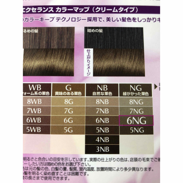 L'Oreal Paris(ロレアルパリ)のL'OREAL おしゃれな白髪染め　6NG 新品2個セット コスメ/美容のヘアケア/スタイリング(白髪染め)の商品写真