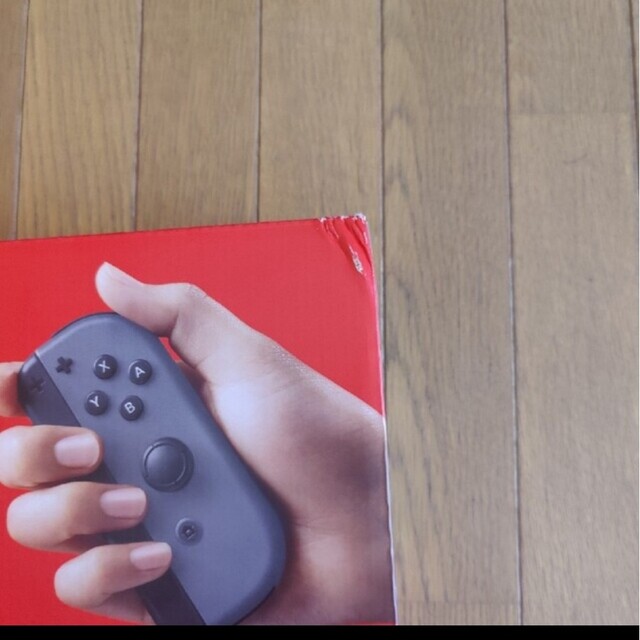 任天堂 スイッチ Nintendo Switch グレー