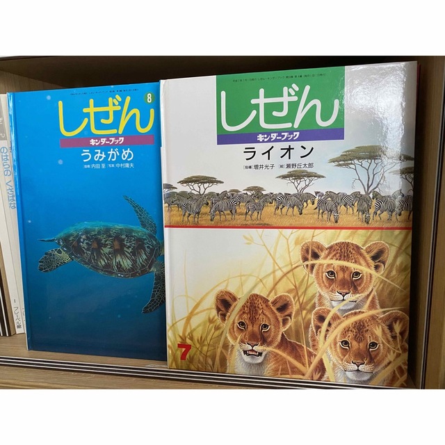 フレーベル館☆しぜん 48冊セット - 絵本/児童書