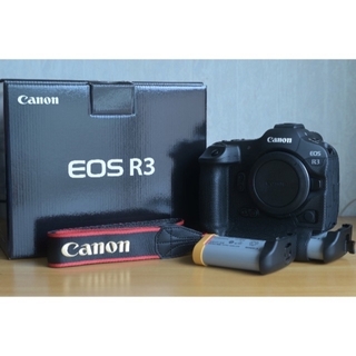 キヤノン(Canon)のキヤノン EOS R3 ボディ(デジタル一眼)