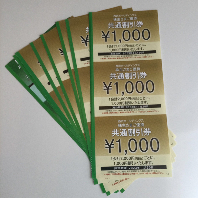 西武ホールディングス株主優待 共通割引券¥1000×20枚