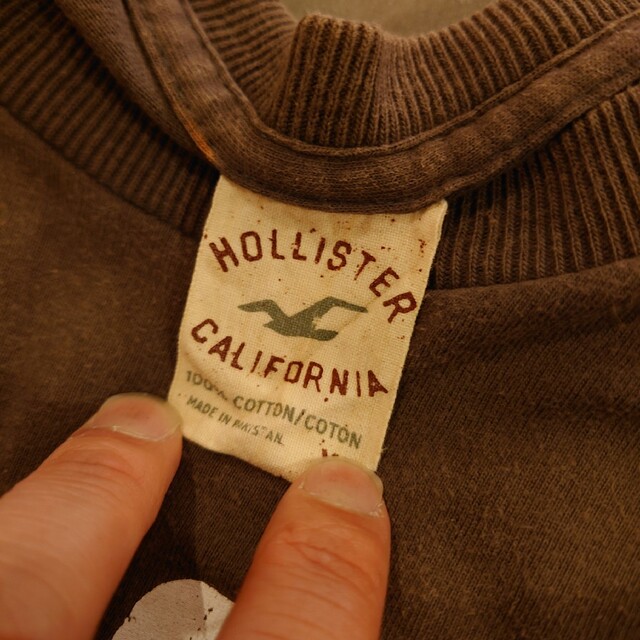 Hollister(ホリスター)のHOLLISTER Tシャツ ブラウン　ホリスター メンズのトップス(Tシャツ/カットソー(半袖/袖なし))の商品写真