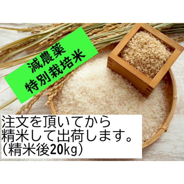 4年産 岩手米 ひとめぼれ 一等米 農家直送 減農薬