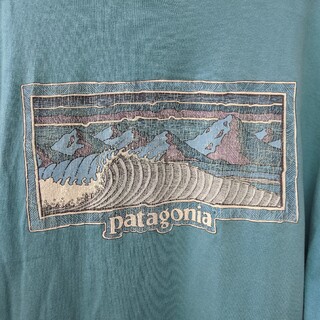 パタゴニア(patagonia) usa Tシャツ・カットソー(メンズ)の通販 100点