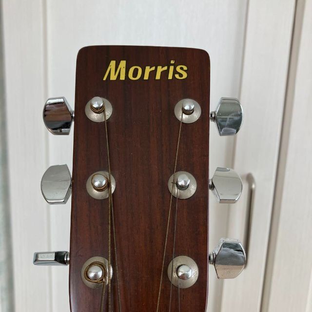 モーリス Morris W-20 日本製 アコースティック ギターの通販 by