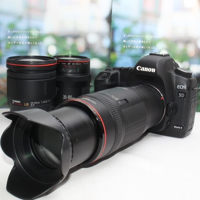 Canon - ❤️予備バッテリー付❤️Canon EOS 5D mark II トリプルズーム