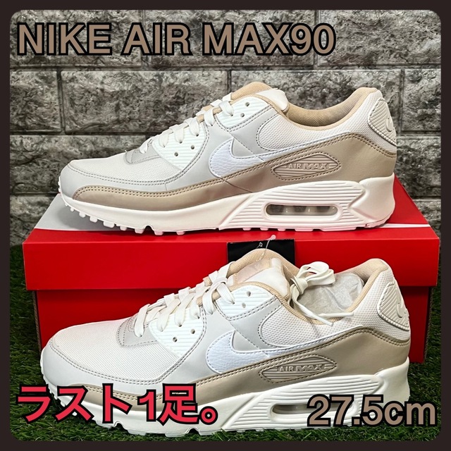 エアマックス90 レアカラー