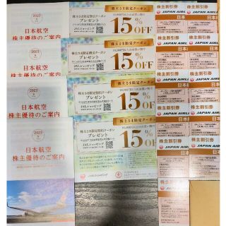 JAL 株主優待券 ★ 2024/11/30まで ★ 11枚(その他)