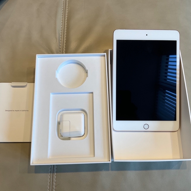 iPad mini 5 cellular 256GB 美品ですが一箇所小さい傷 iPad mini 5 cellular 256GB 美品ですが一箇所小さい傷