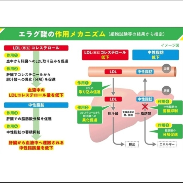 大正製薬(タイショウセイヤク)の大正製薬 コレス＆ミドルケア さらっとおいしい青汁 食品/飲料/酒の健康食品(青汁/ケール加工食品)の商品写真