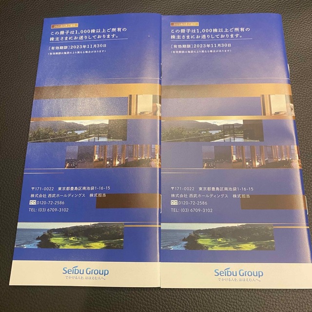 西武HD 株主優待冊子(1000株)2冊 - その他