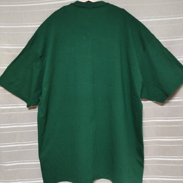 Hanes(ヘインズ)のアニマル柄 馬 動物 プリントTシャツ tシャツ アート ビッグシルエット 緑 メンズのトップス(Tシャツ/カットソー(半袖/袖なし))の商品写真