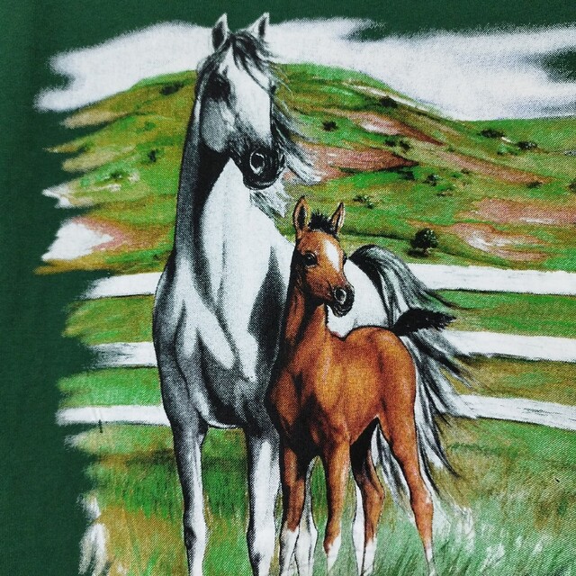 Hanes(ヘインズ)のアニマル柄 馬 動物 プリントTシャツ tシャツ アート ビッグシルエット 緑 メンズのトップス(Tシャツ/カットソー(半袖/袖なし))の商品写真
