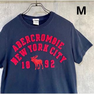 アバクロンビーアンドフィッチ(Abercrombie&Fitch)のアバクロ　abercrombie＆fitch  Tシャツ 紺　M  ポリエステル(Tシャツ/カットソー(半袖/袖なし))