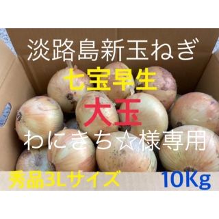 🔷秀品3Lサイズ 10Kg .訳あり 10Kg 🔷淡路島新玉ねぎ(野菜)