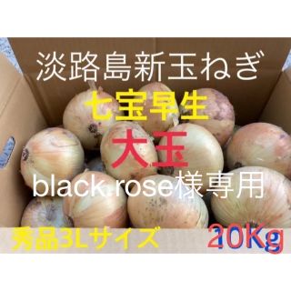 七宝早生⭕️秀品3Lサイズ20Kg ⭕️淡路島新玉ねぎ　たまねぎ　玉葱(野菜)