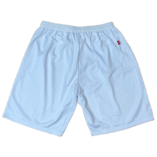 STUSSY(ステューシー)のSTUSSY ONE WORLD MESH SHORT メンズのパンツ(ショートパンツ)の商品写真