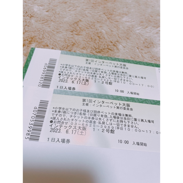 インターペット　大阪　チケット　2枚セット チケットのイベント(その他)の商品写真